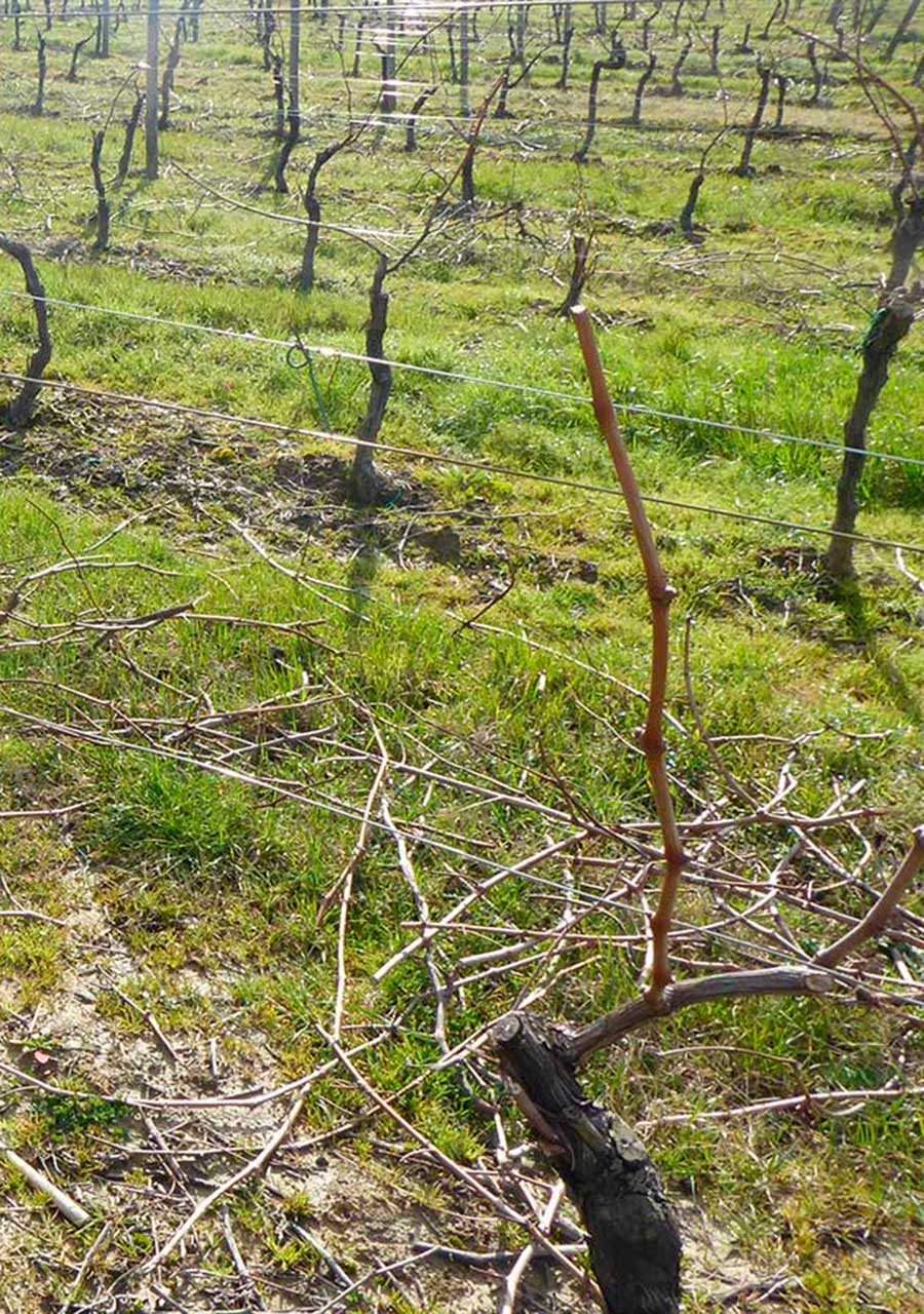 Tamega-e-Sousa-Internacionaliza_Italia_Ader-Sousa-(17)