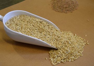 Tamega-e-Sousa-Internacionaliza_Italia_Ader-Sousa-(5)