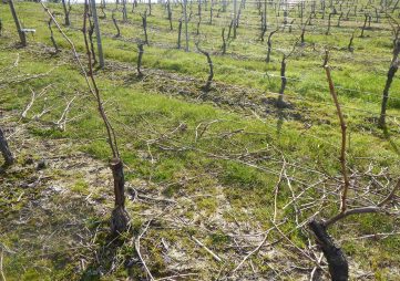 Tamega-e-Sousa-Internacionaliza_Italia_Ader-Sousa-(9)