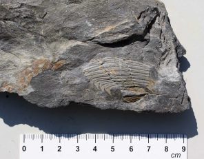 Terras-do-Sousa_Geologia_Ader-Sousa_12