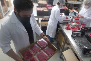 Divulgar Bio 2021_ adersousa 9