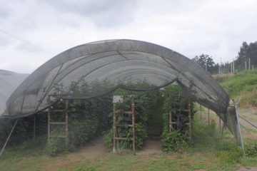 Divulgar Bio_2021_adersousa2